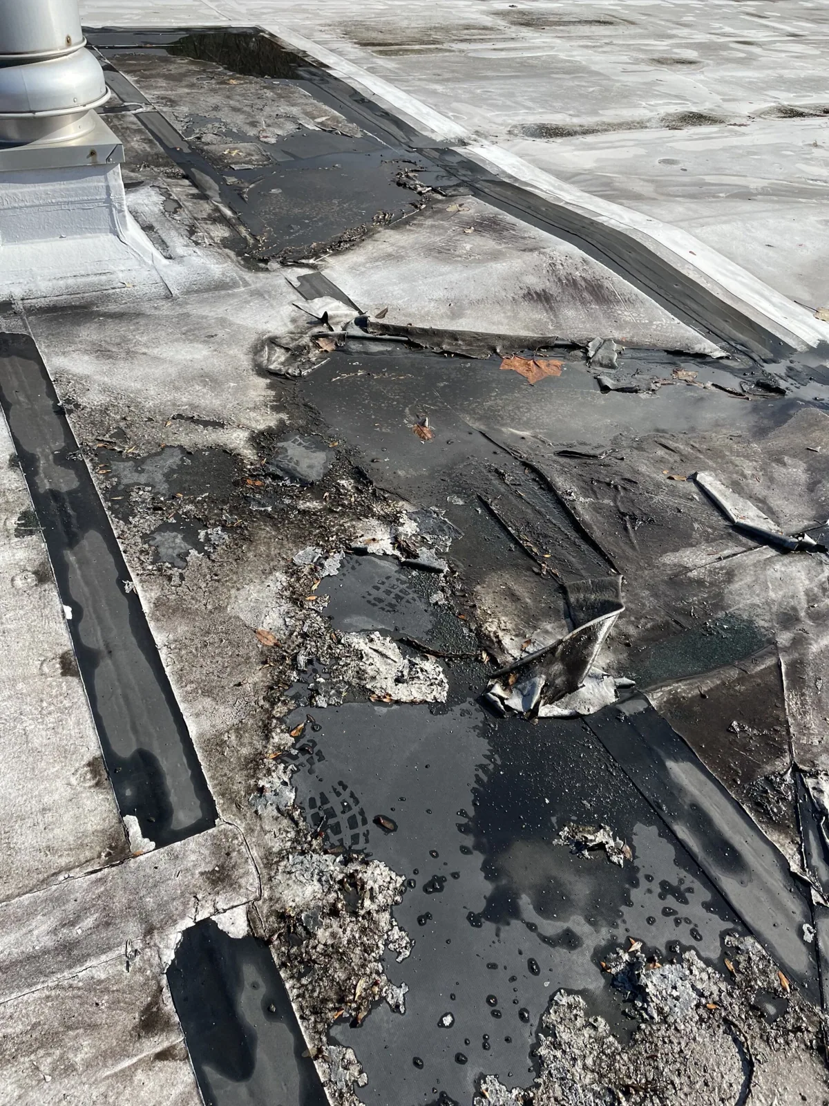 Response: wind, fire and claim records